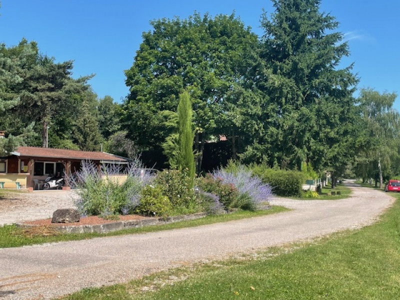 Suite SORTIE A L'ETANG DU CURIER A EPINAC